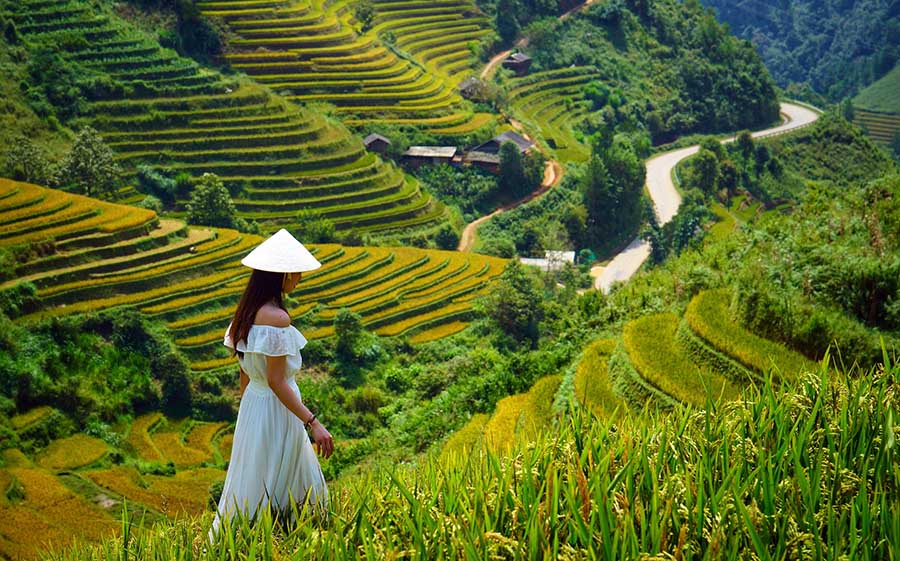 Best Time To Visit Sapa Rice Fields